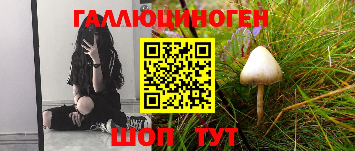 Псилоцибиновые грибы MAGIC MUSHROOMS Дмитров