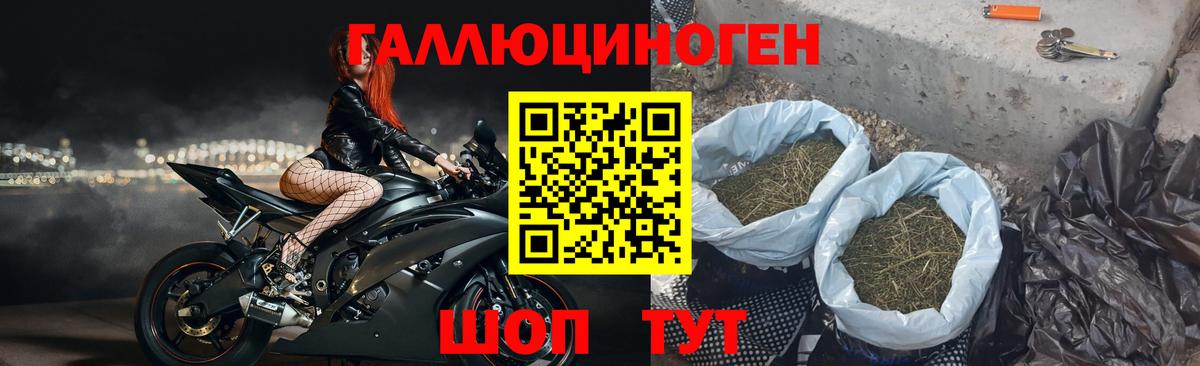 Галлюциногенные грибы MAGIC MUSHROOMS  Вход с VPN  Дмитров  Галлюциногенные грибы прущие грибы 